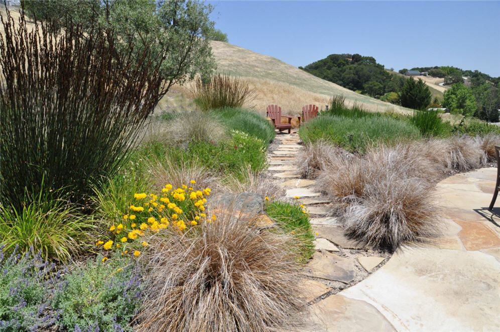 Flagstone Path and Grasses