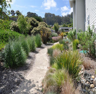 Grass Path Garden